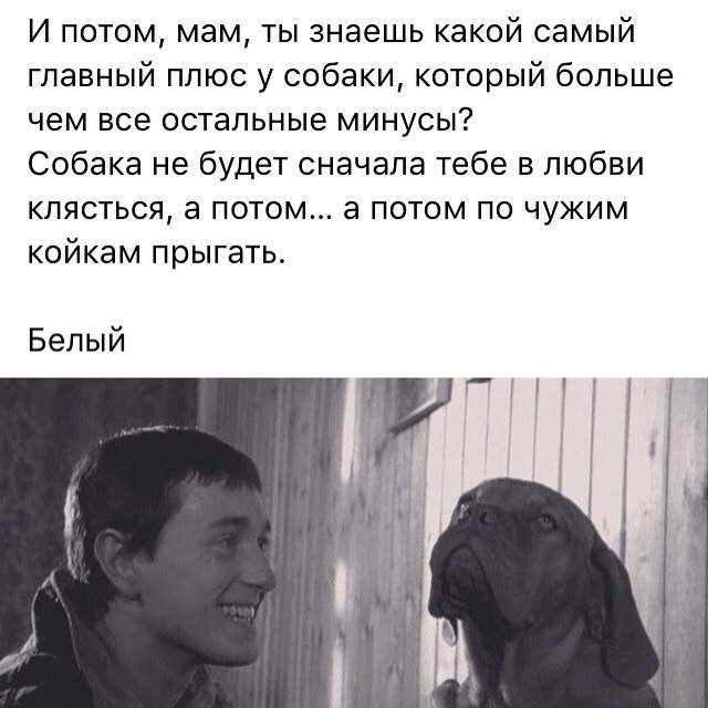 Кто был предателем в бригаде?