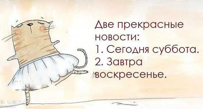 Самые лучшие статусы про выходные