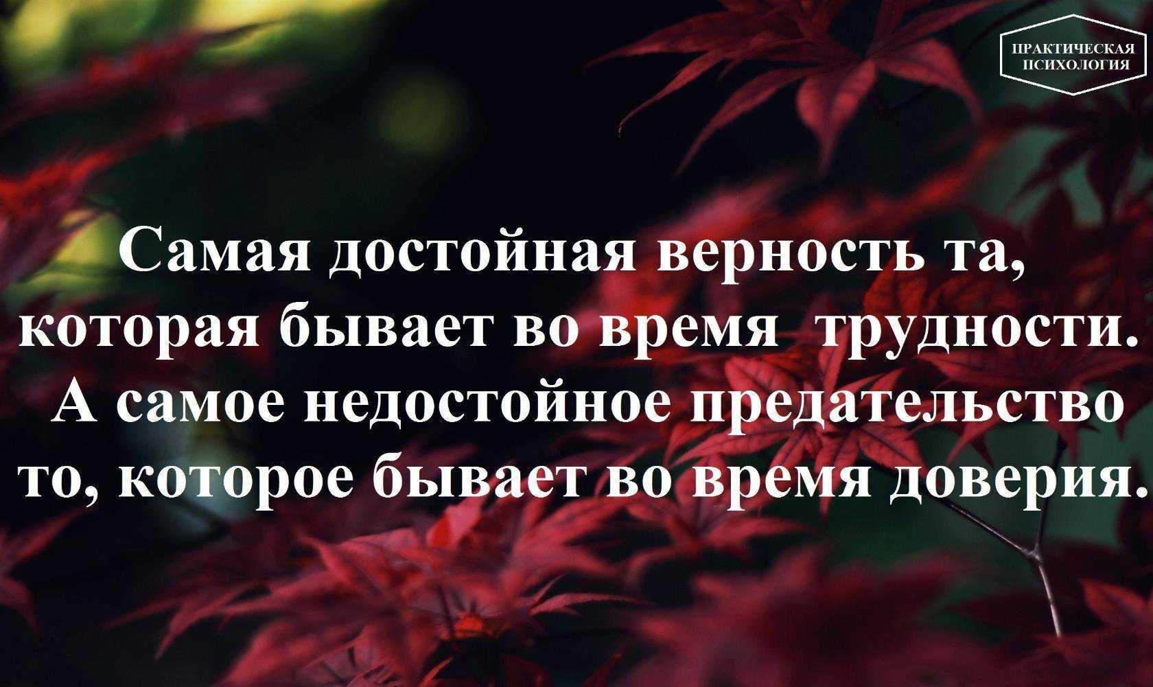 100 красивых и грустных цитат о любви со смыслом