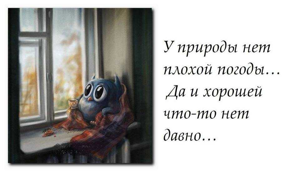 Статусы про дождь и слякоть