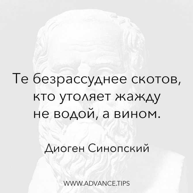 Цитаты диогена | всё на пользу!!!