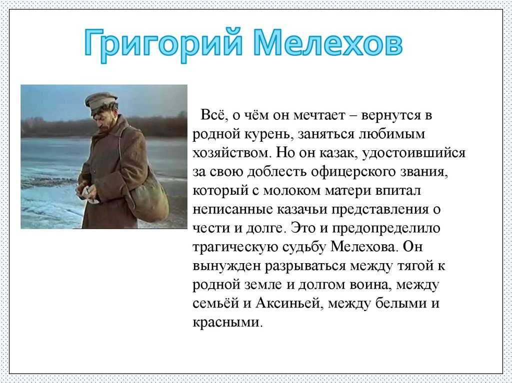 Краткое содержание шолохов тихий дон