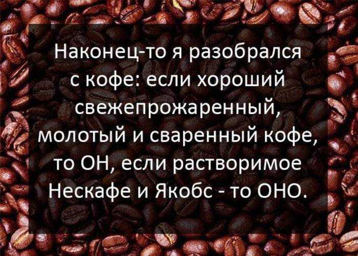 Пословицы и поговорки о кофе. кофейные цитаты