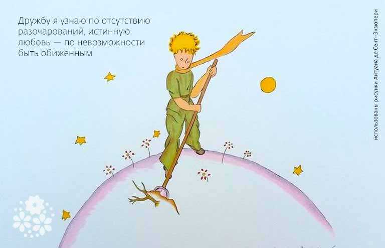 Самые популярные цитаты из произведений сент-экзюпери