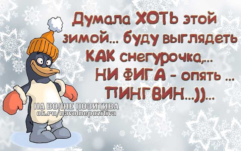 Цитаты про зиму и любовь - сонники, гороскопы, гадания