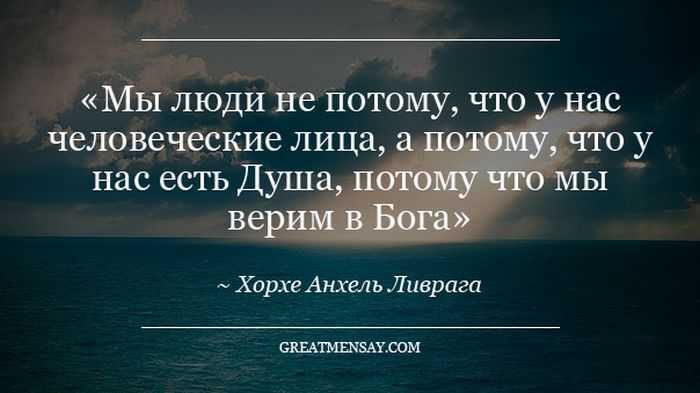 Цитаты про человечность к животным. цитаты о животных