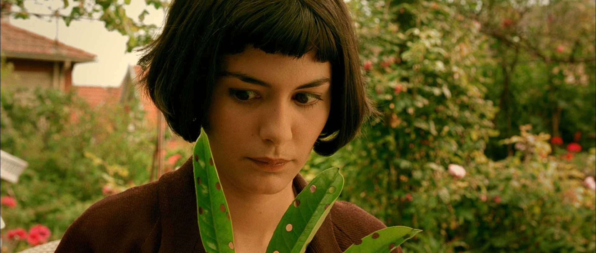 Цитаты из фильма амели (le fabuleux destin d'amelie poulain)