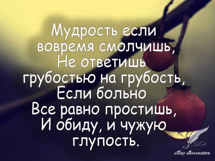 305 фраз и цитат про книги: список коротких, крксивых афоризмов, высказываний, изречений о книге со смыслом