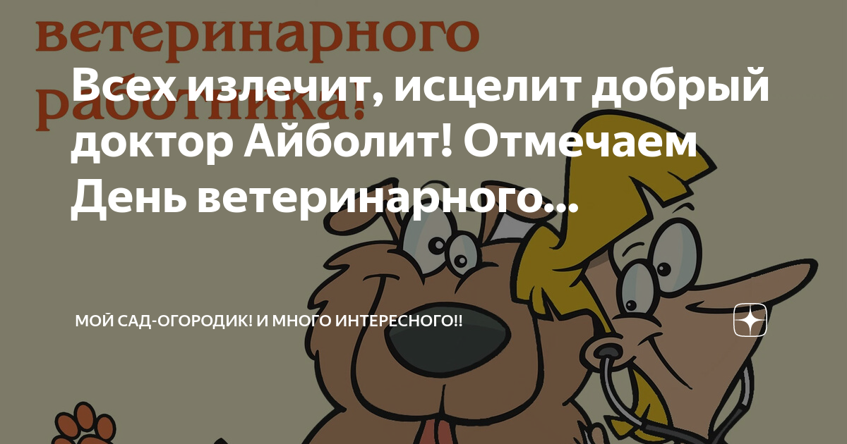 Юмор про ветеринаров: "айболиты" свинство не лечат.