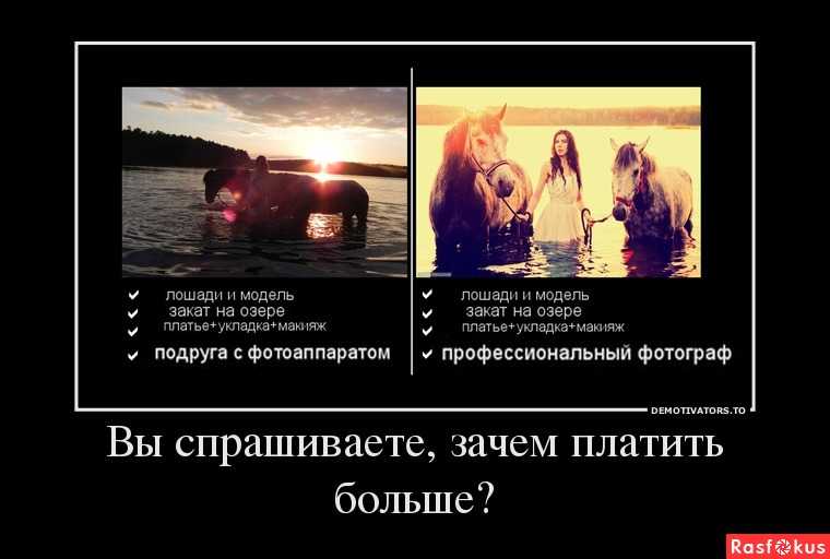 Шутки про фотографов. смешные анекдоты про фотографов