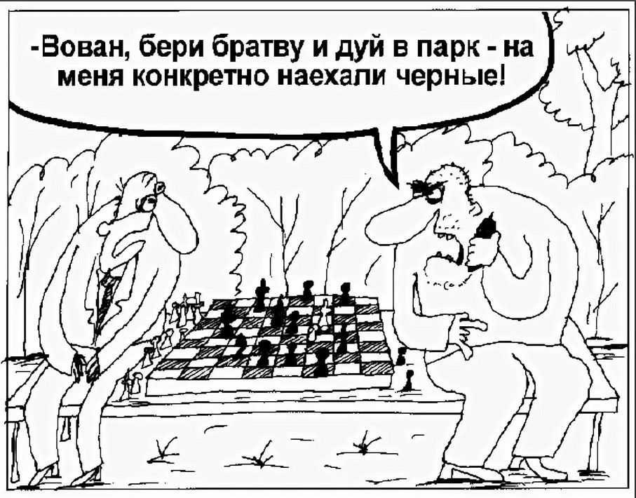 Анекдоты про шахматы » шуток shutok.ru » облако тегов » шахматы