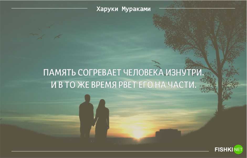 73 красивых цитаты харуки мураками от автора «норвежского леса»