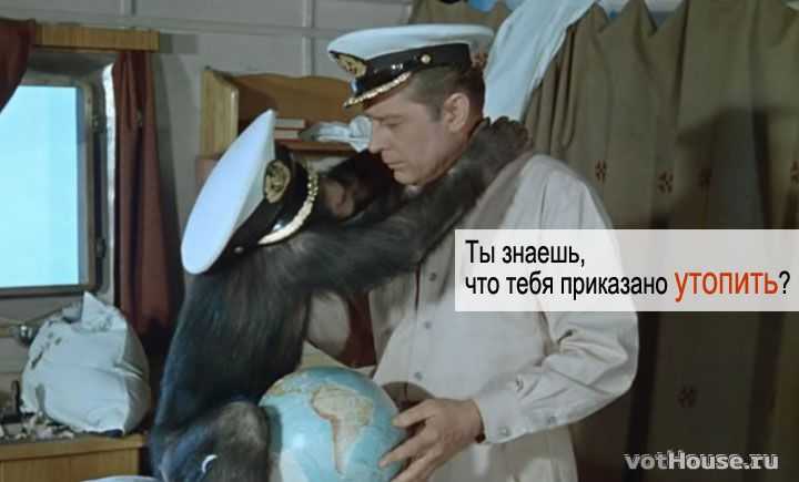 В полосатых купальниках цитата