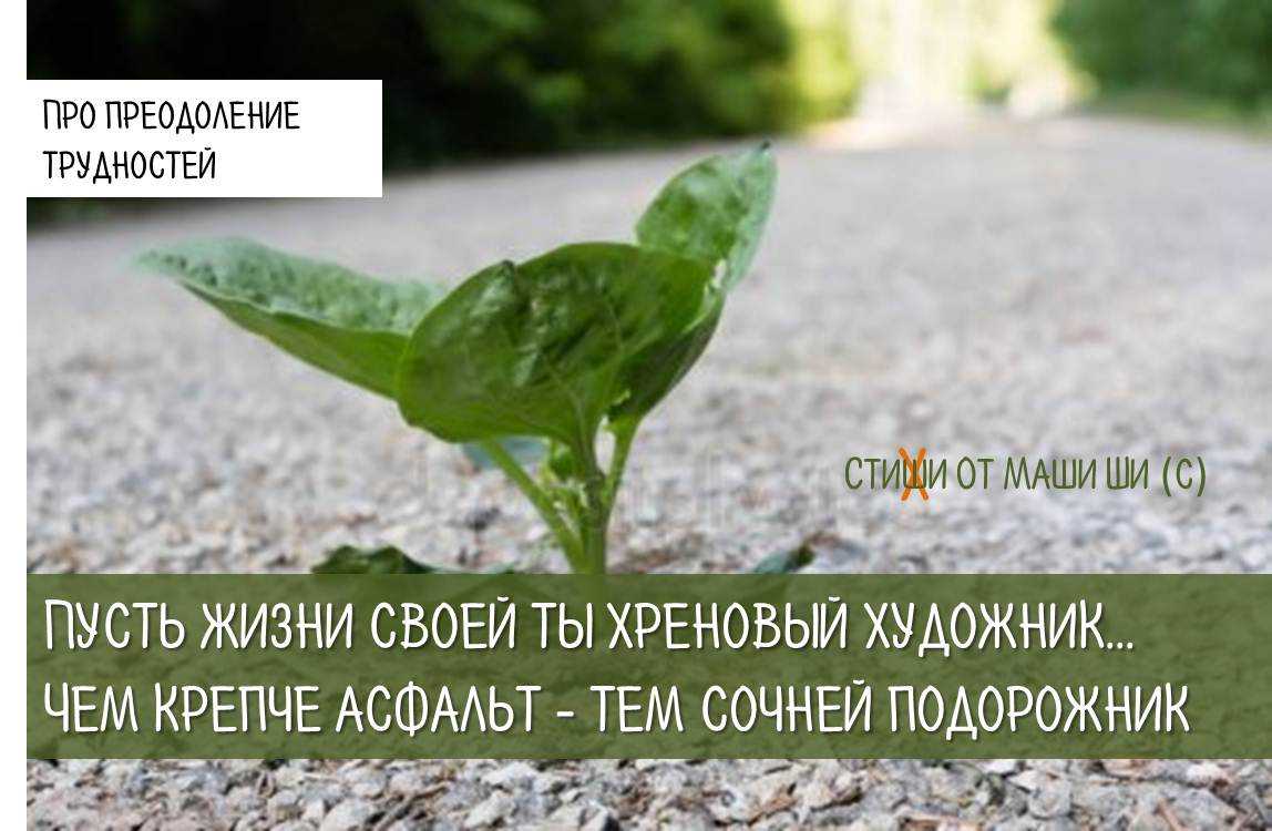 Лучшие цитаты про жизнь со смыслом: 100+ лучших цитат