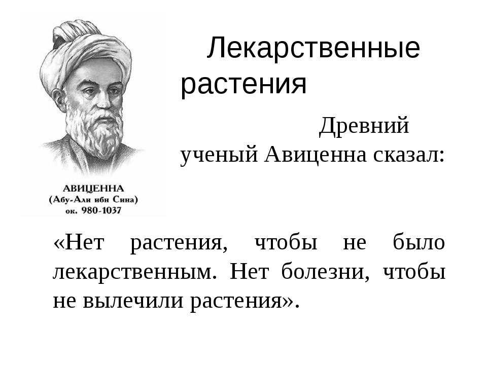 160 красивых цитат про цветы. (афоризмы и статусы)