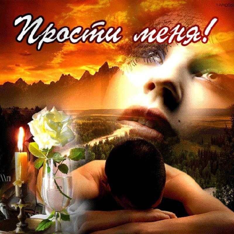 Слова извинения в прозе