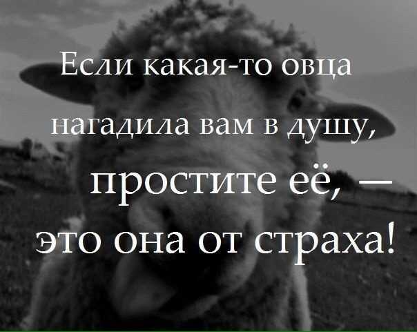 Фразы великих людей, которые заставляют задуматься о жизни