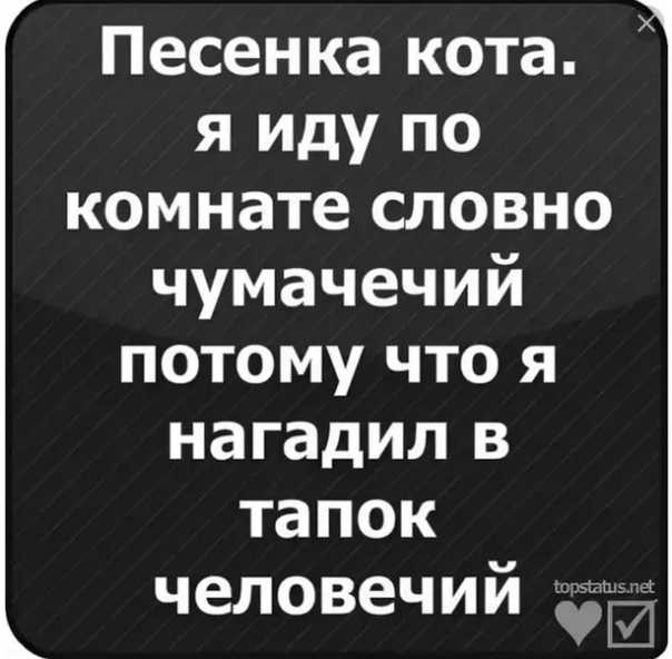 Статусы про парней