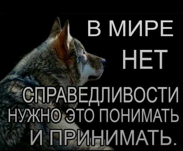 100 красивых и грустных цитат о любви со смыслом