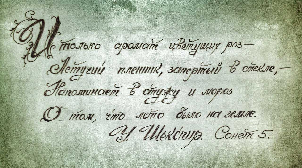 На лепестках цветка написано посланье… о цветах в цитатах и афоризмах