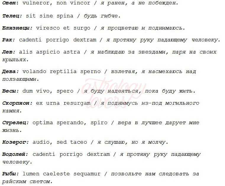 Верь в себя тату. подборка фраз и высказываний для тату