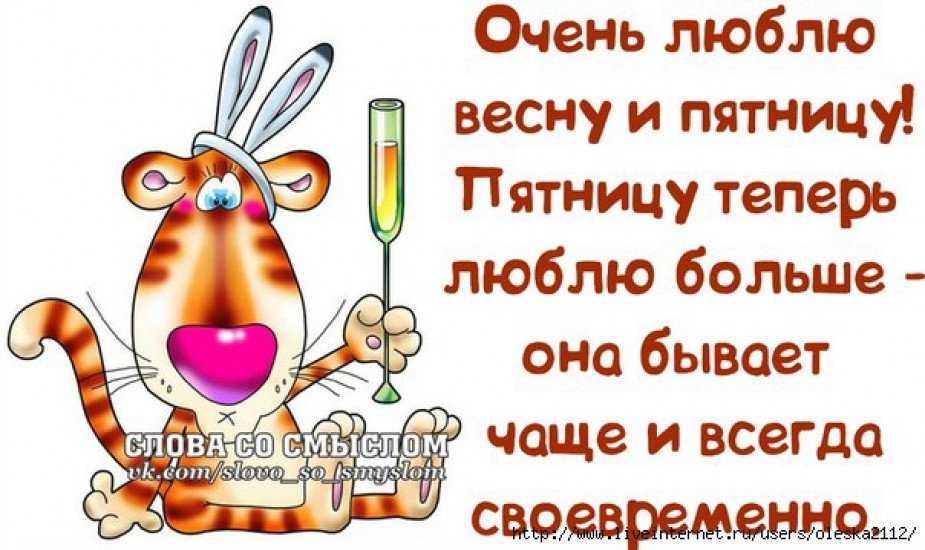 Прикольные цитаты про пятницу (150 цитат)