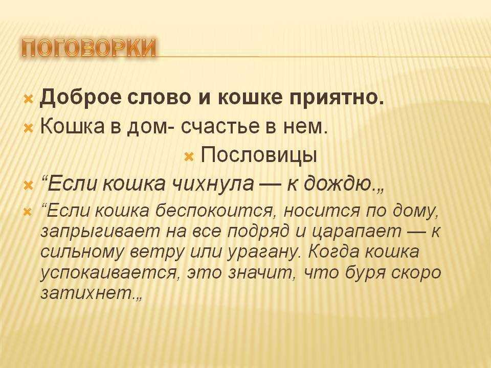 ✅ цитаты о бездомных животных со смыслом. цитаты про животных - vek-msk.ru
