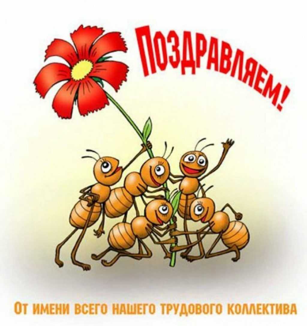 Поздравления с днём рождения начальнице красивые и трогательные