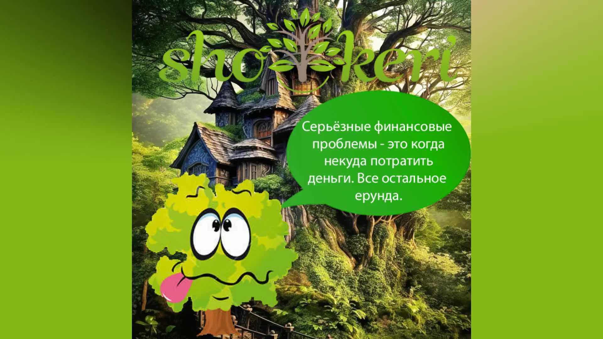 Доброе утро высказывания великих людей — жизненные статусы