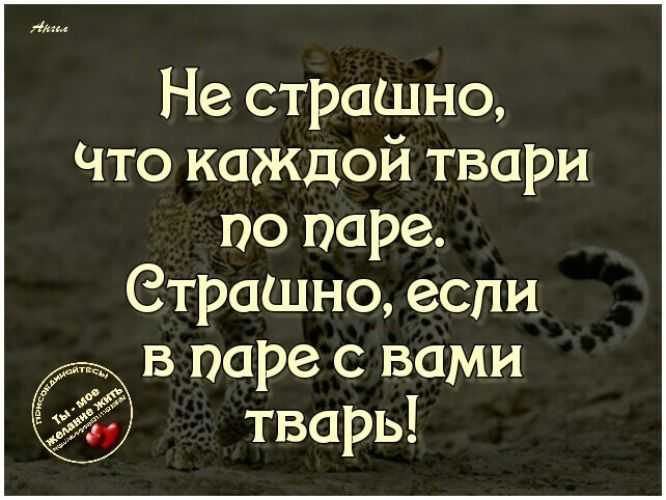 Грустные цитаты: 100 красивых афоризмов со смыслом