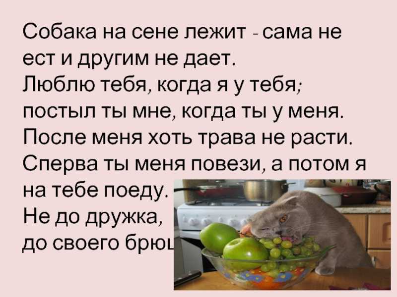 77 любимых цитат из советских фильмов