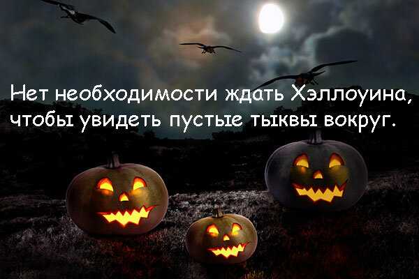 Топ 500 самых лучших цитат для инстаграма под фото: короткие, смысловые, на английском языке
