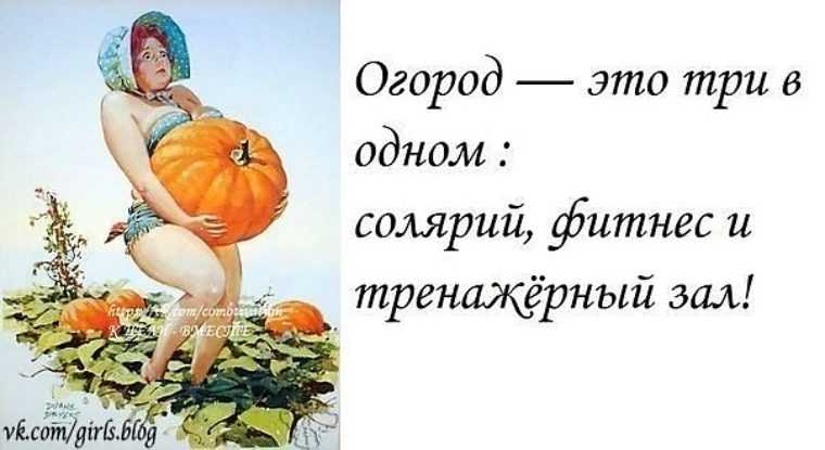 «осень – это сны листопада»: подборка цитат и высказываний о золотом времени года
