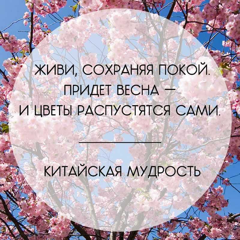 Весенний ветер несет запах счастья. цитаты и афоризмы про весну