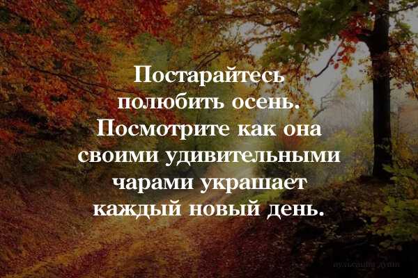 Лучшие цитаты про жизнь со смыслом: 100+ лучших цитат