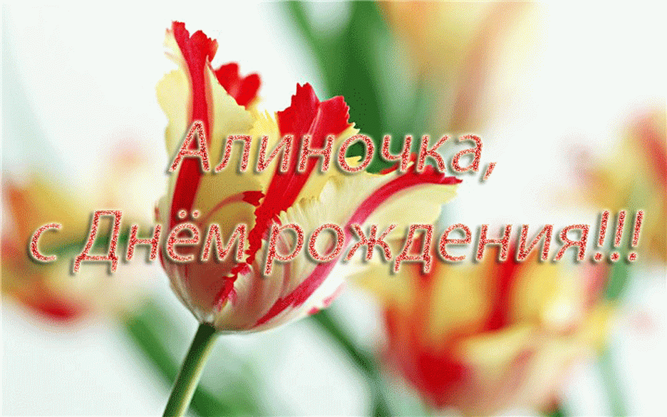 Лучшие поздравления с днем рождения алине