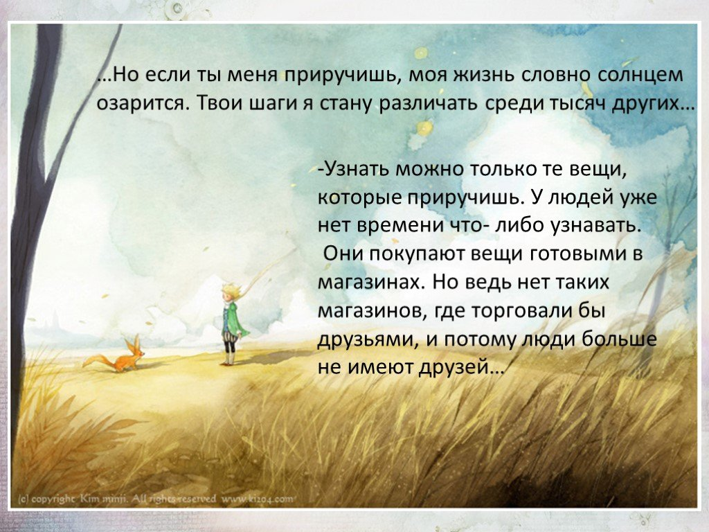 Лучшие цитаты из маленького принца