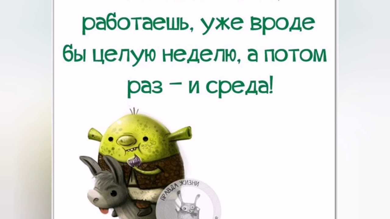 Прикольные картинки про среду. 54 штуки! рабочее веселье