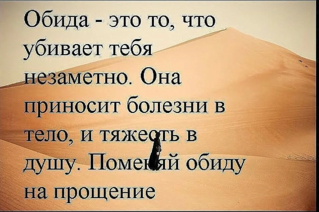Высказывания великих и успешных людей о чувстве обиды – конструктор успеха