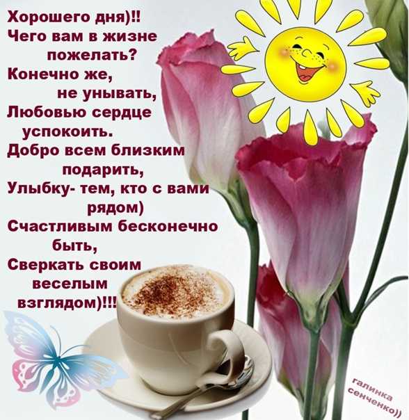78 самых мудрых и глубоких цитат всех времен