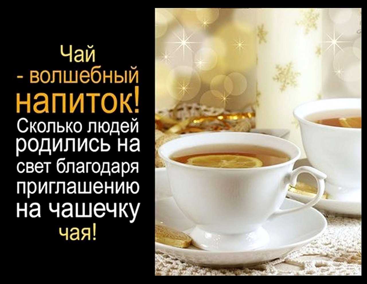 Прикольные афоризмы про чай
