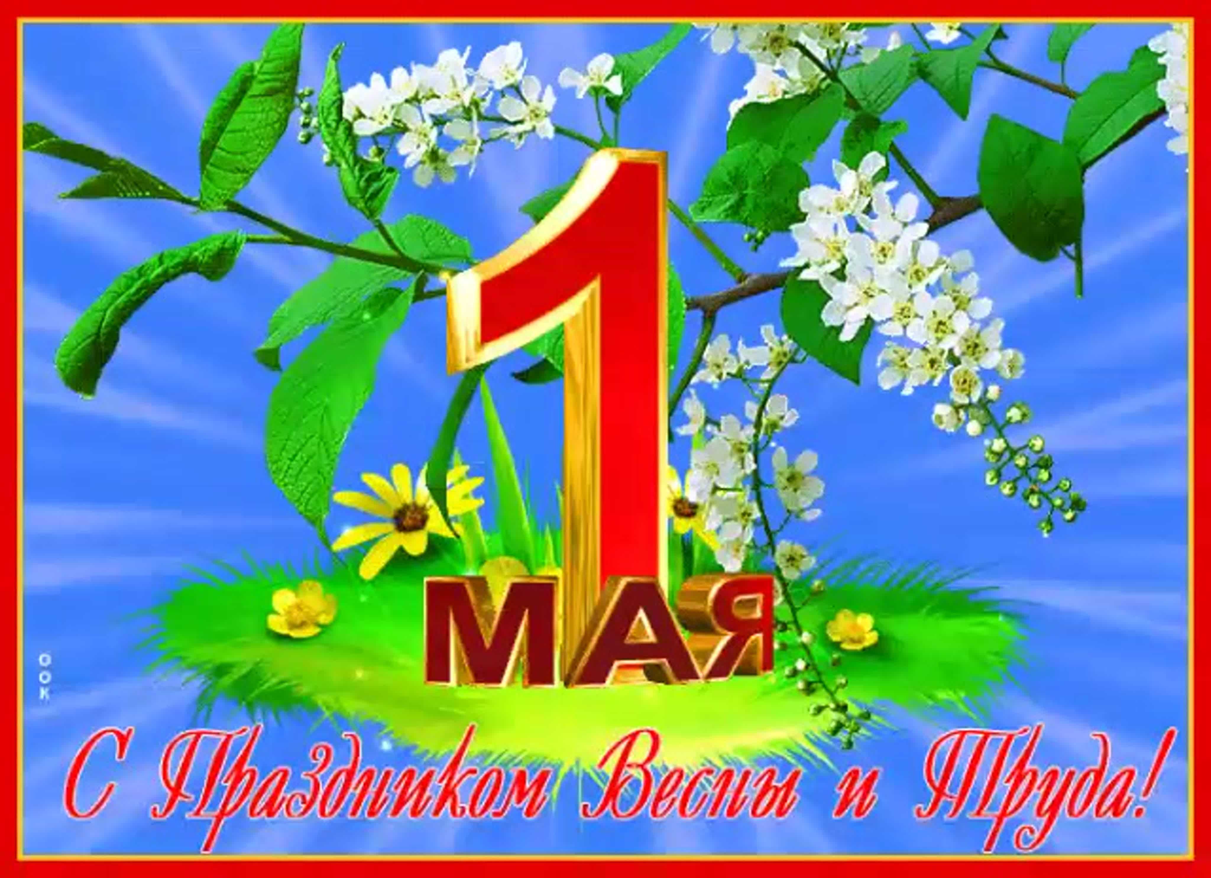 Праздник 1 мая-2023: новые открытки и прикольные поздравления | vn.ru
