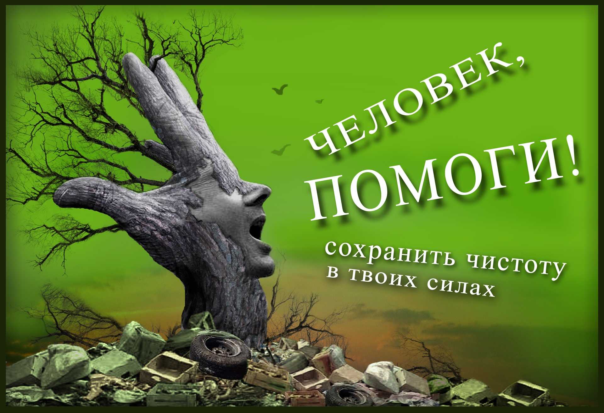 Афоризмы. сборник афоризмов по категориям и темам.