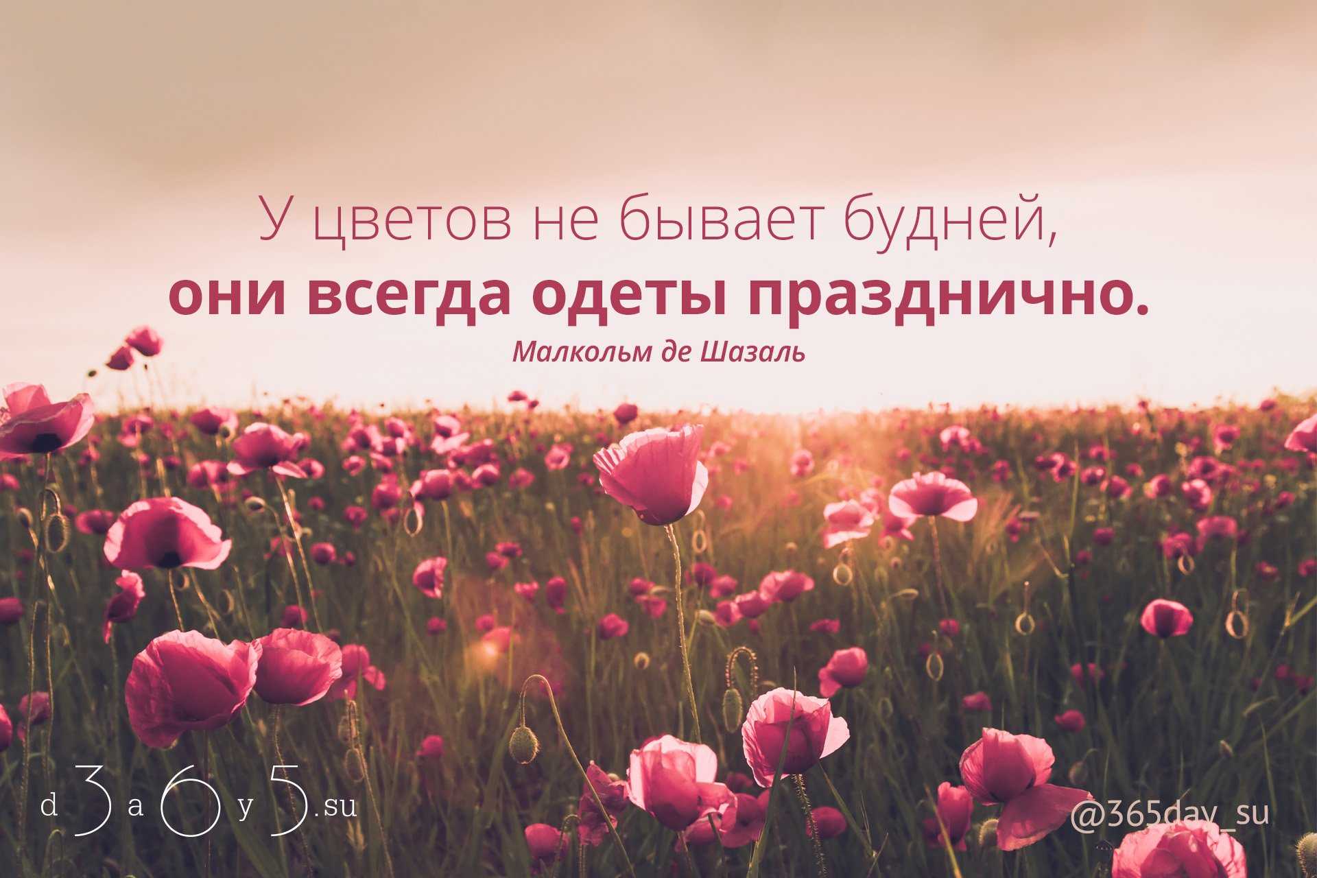 Цитаты о природе и ее красоте: статусы, высказывания и афоризмы великих