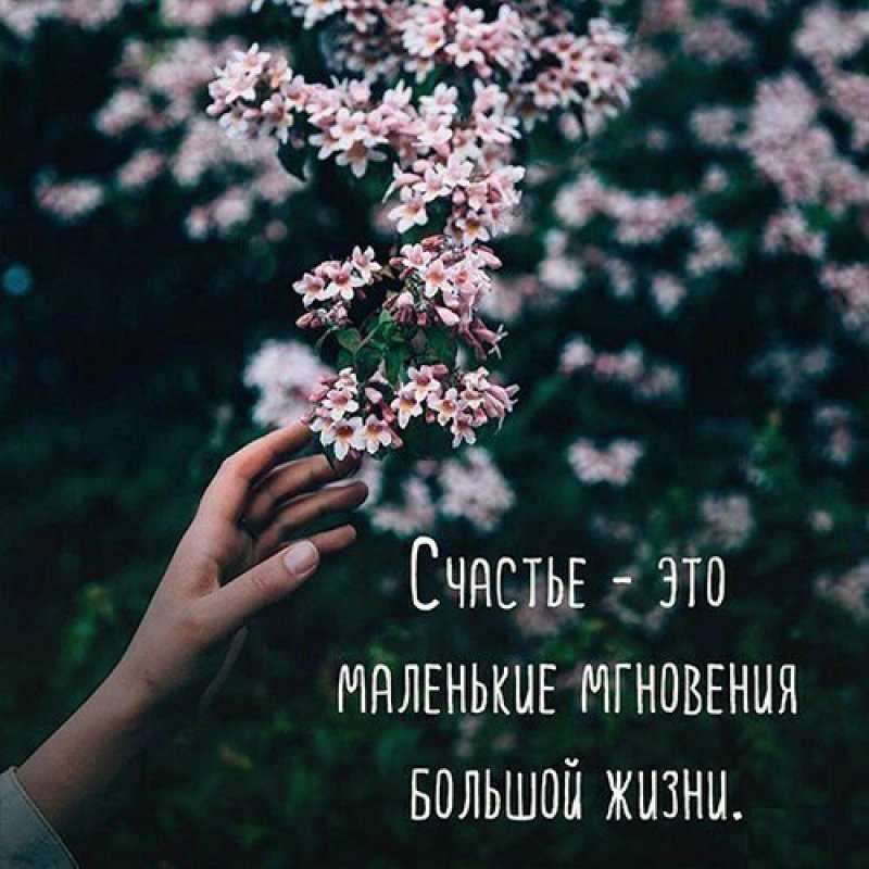 30 великих фраз воскресенья (и знаменитые цитаты) - yes, therapy helps!