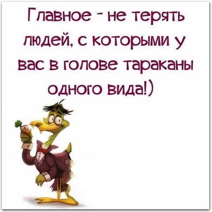 Прикольные статусы для подруг: 100 смешных примеров