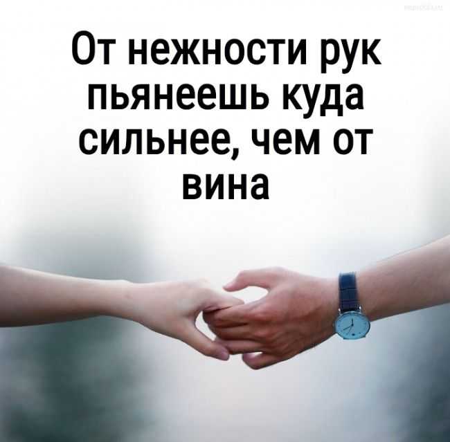 Цитаты на тему нежность Подборка цитат со смыслом из книг, фильмов, песен и сериалов, афоризмы великих людей Вдохновляйтесь цитатами, добавляйте их в статус и под фото, делитесь с друзьями