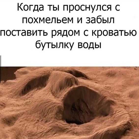 20 прикольных картинок женщин с похмелья, которые точно поднимут настроение