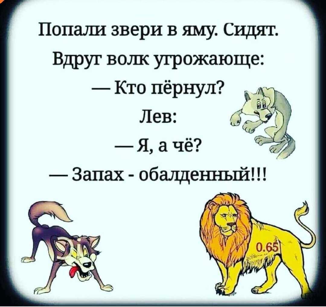 Анекдоты про животных и зверей