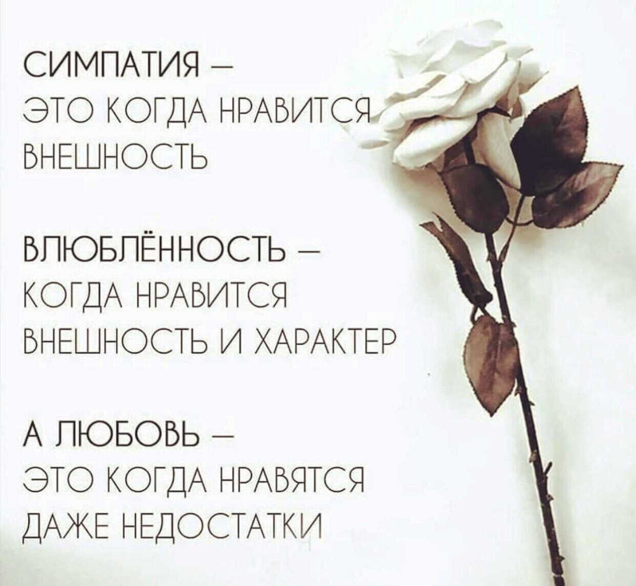 Потерянные любовные цитаты для подписи для instagram или facebook